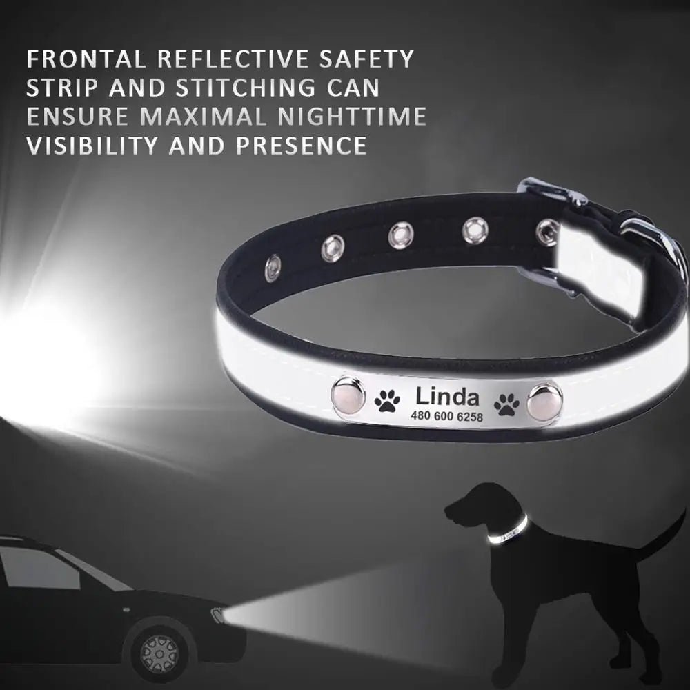 Personalized Dog Collar