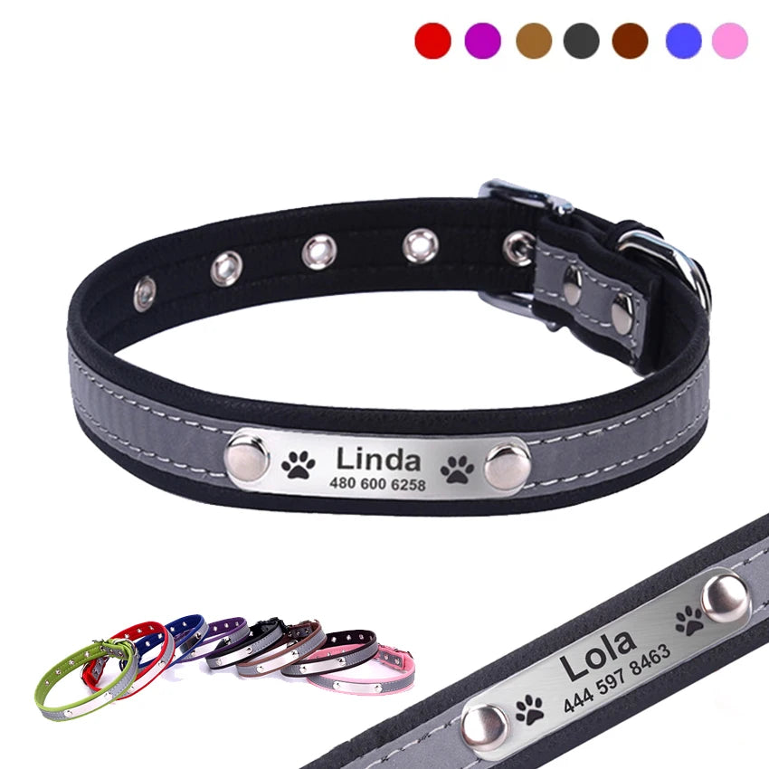Personalized Dog Collar