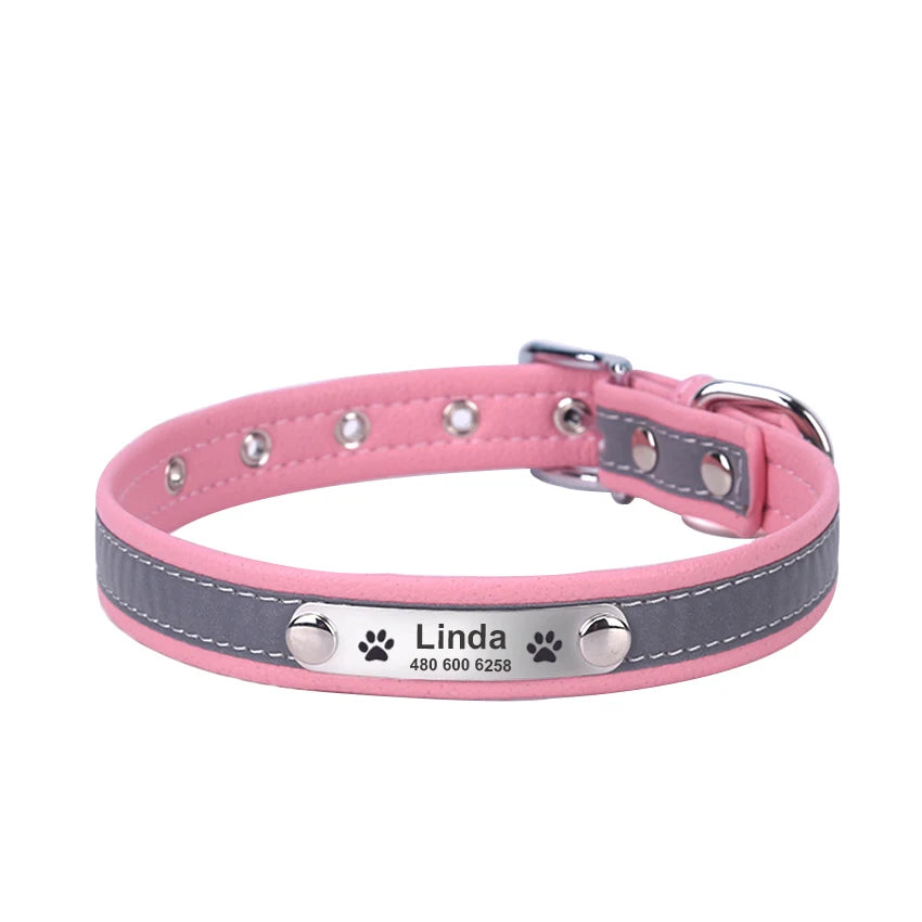 Personalized Dog Collar