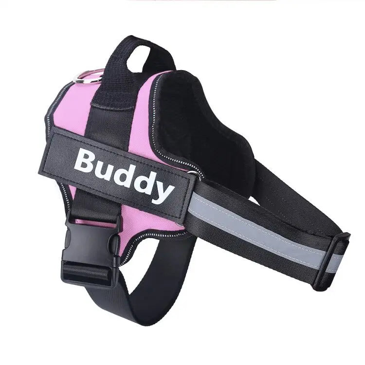 Personalized pet harness