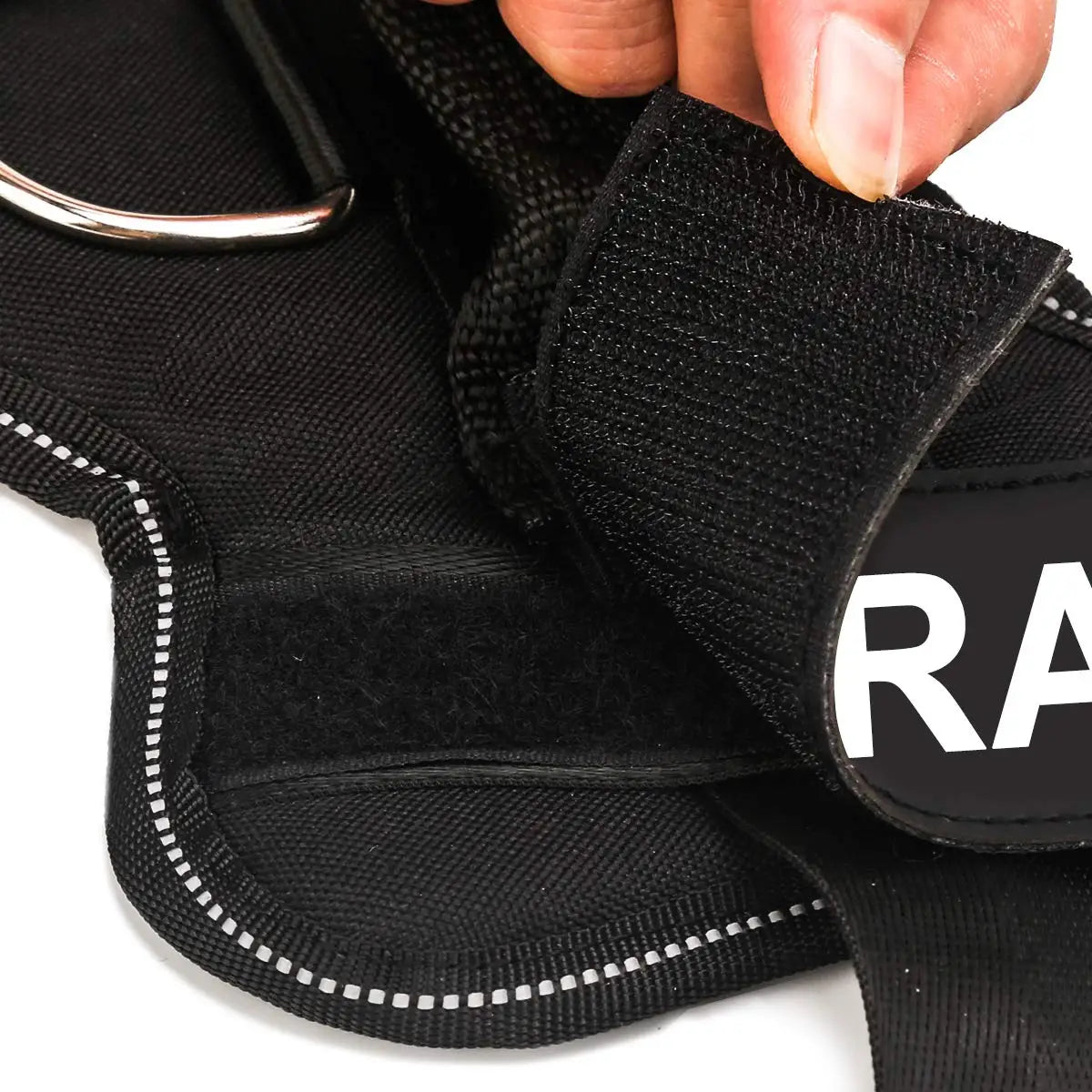 Personalized Pet Harness Collar Label