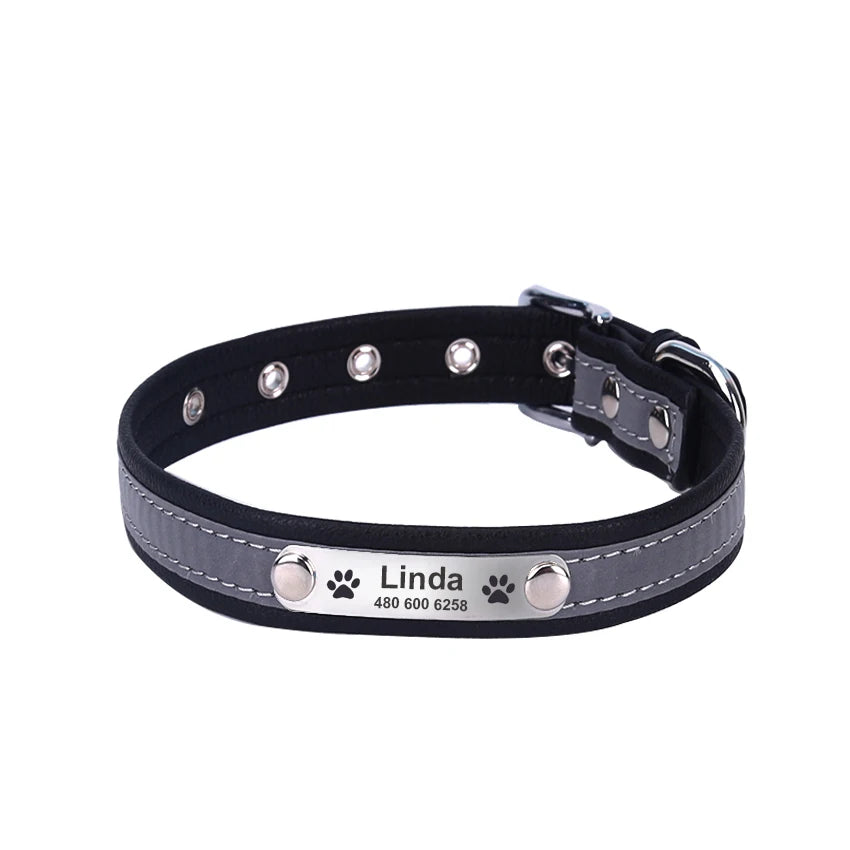 Personalized Dog Collar