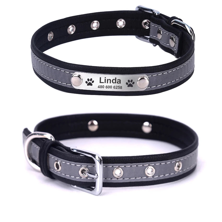 Personalized Dog Collar