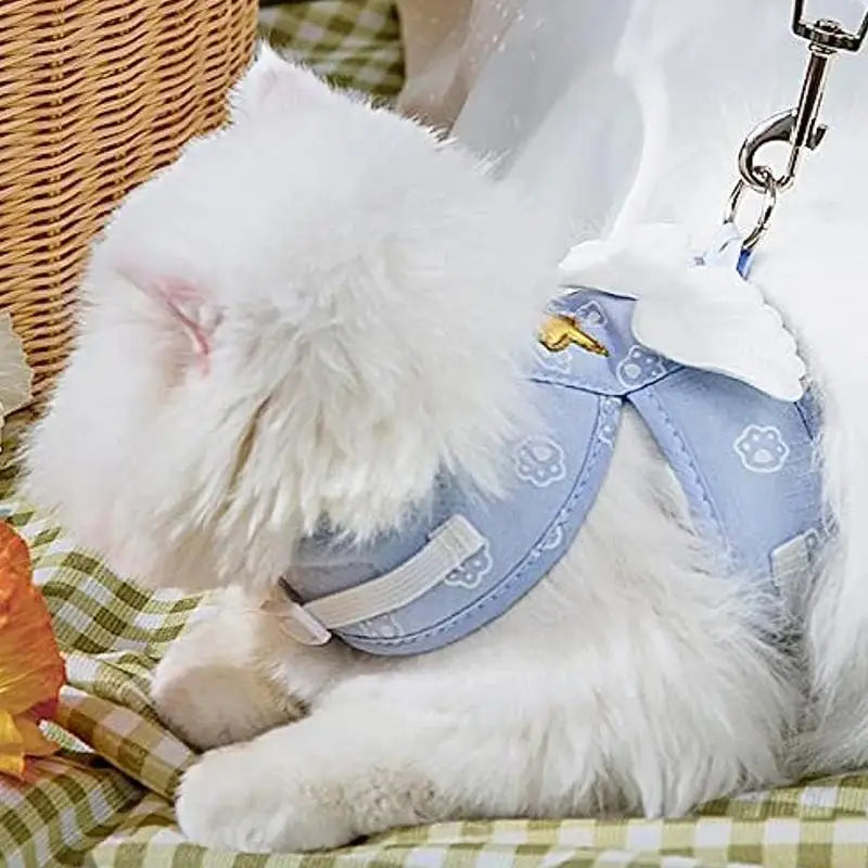 Kitten Harness Leads And Collars Set