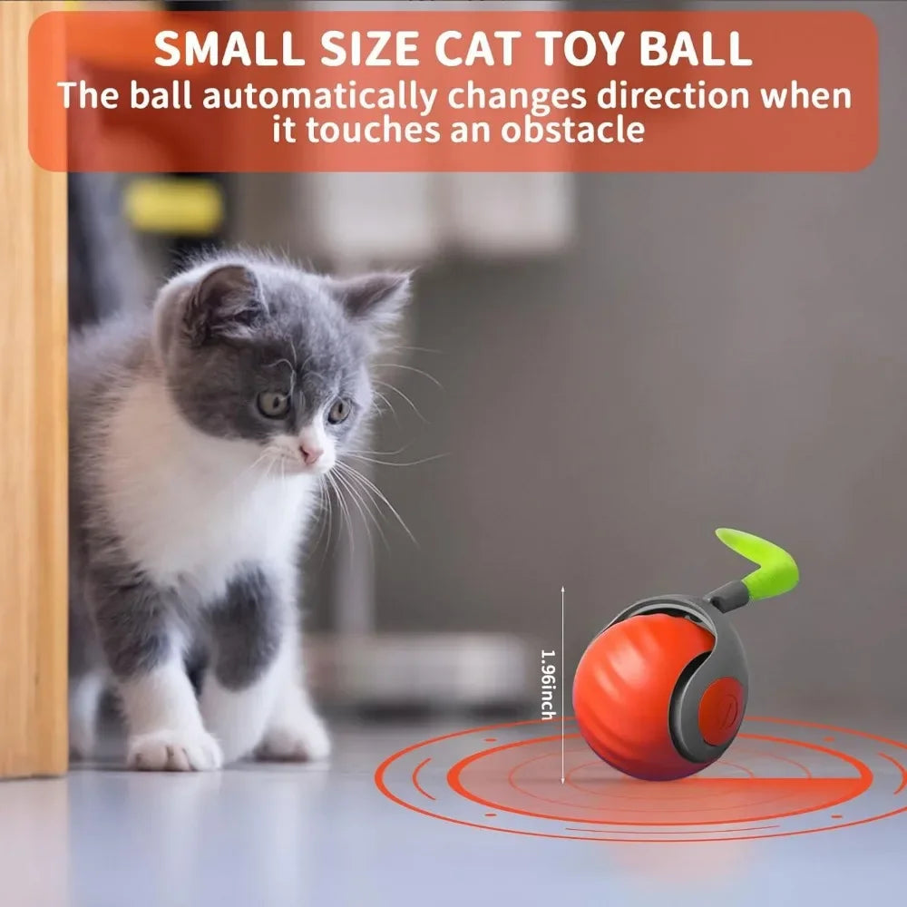 Interactive Cat Ball Toy