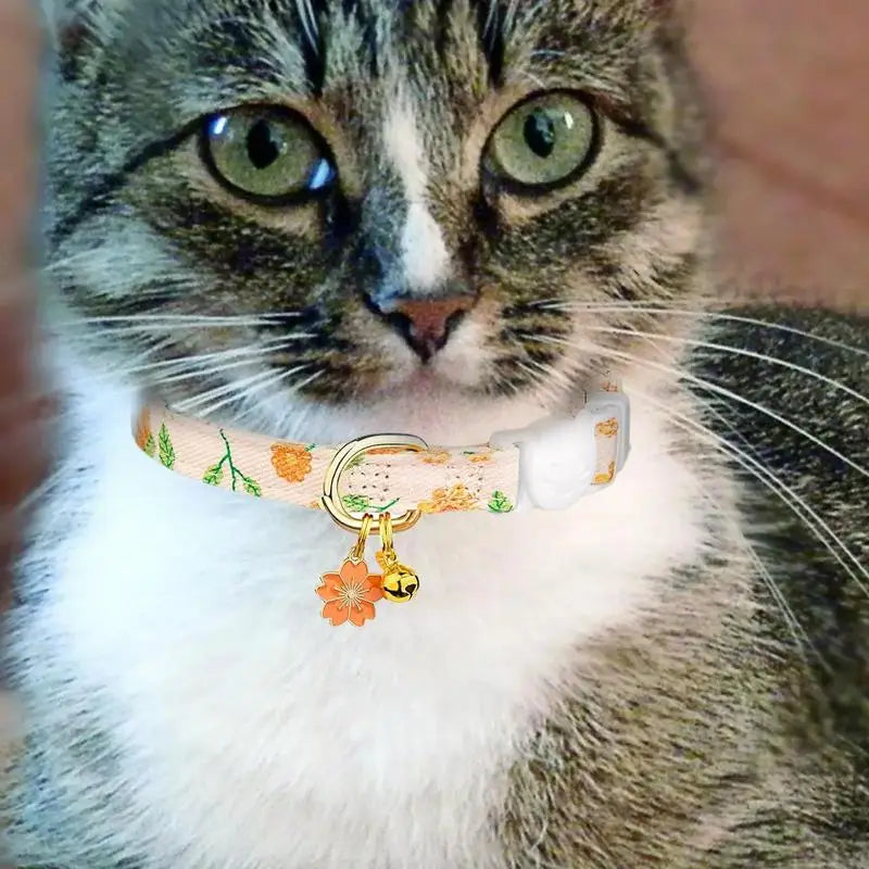 Pet Collar