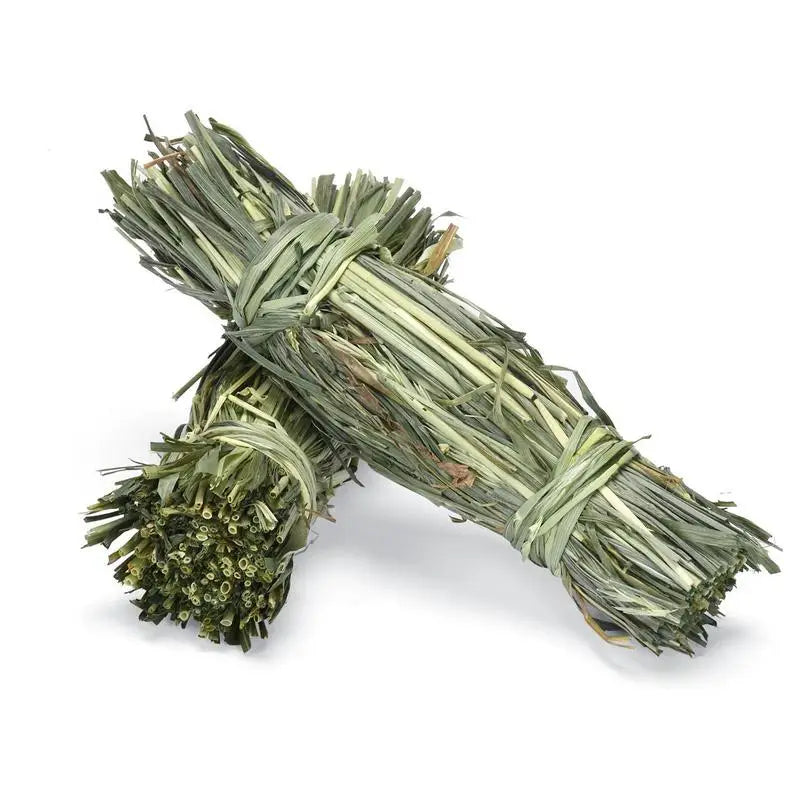 Bunny Chew Toys Hamster Grass Bale