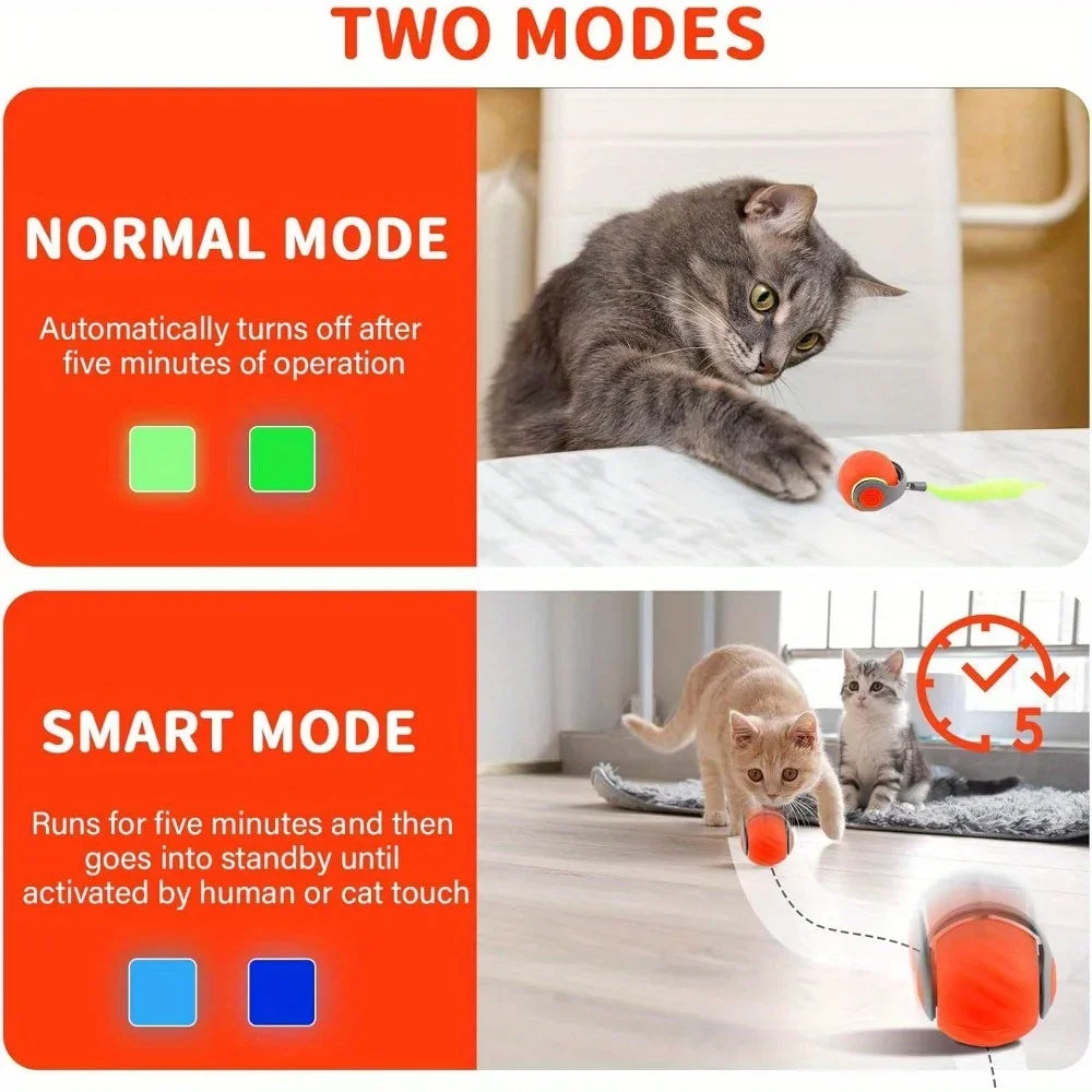 Interactive Cat Ball Toy