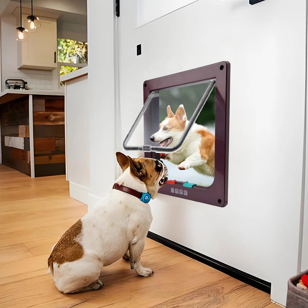 Dog Cat Flap Door