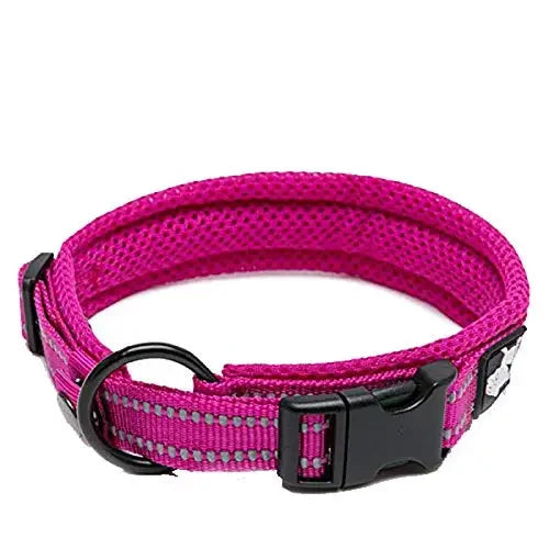 Dog Collar