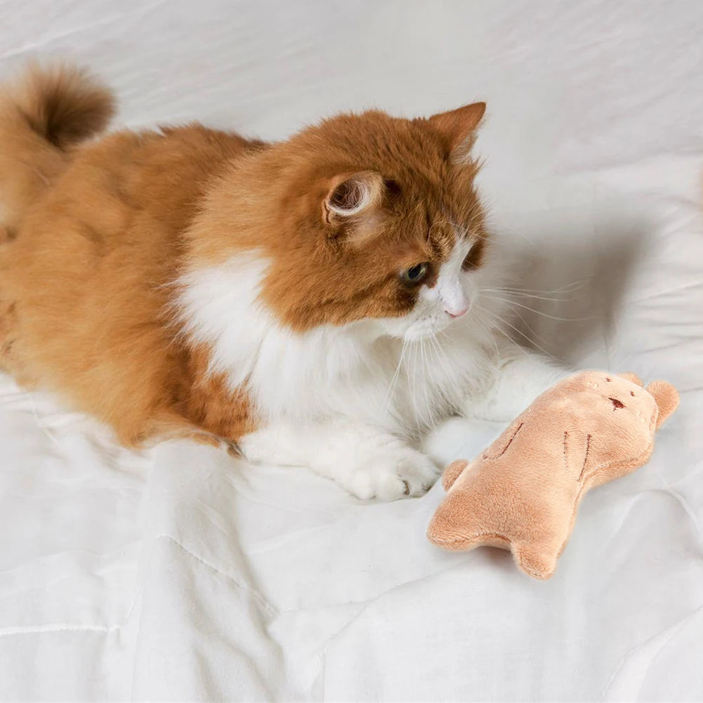 Catnip Plush Cat Toy
