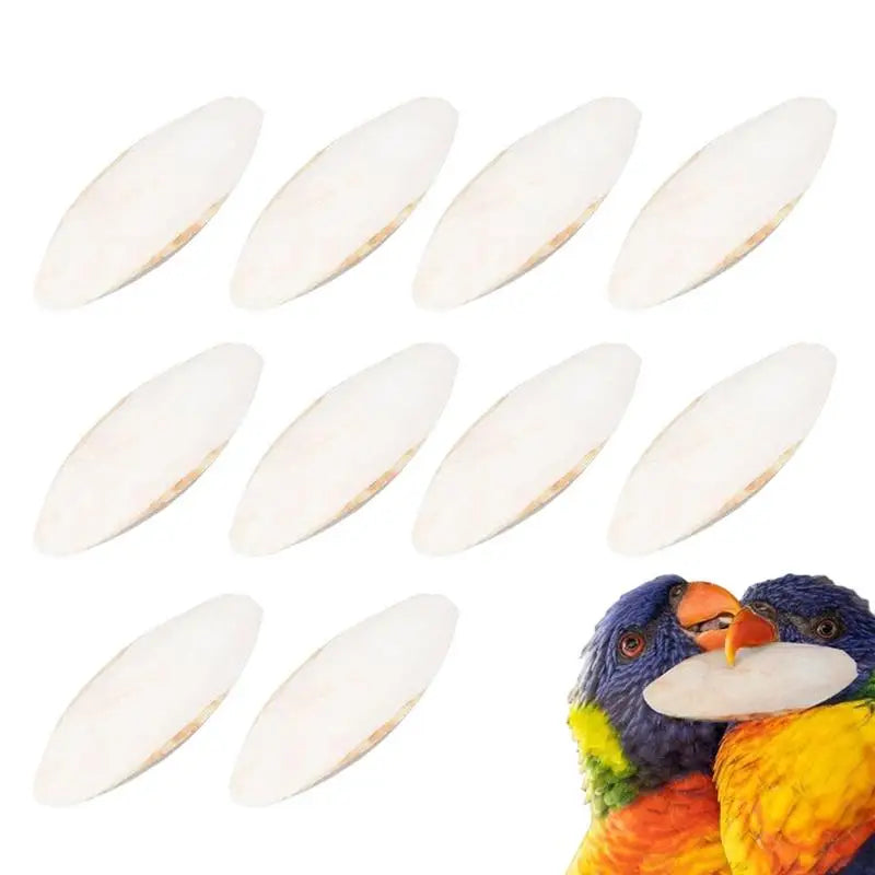 Bird Beaks Cuttlefish Bone Chew Toy