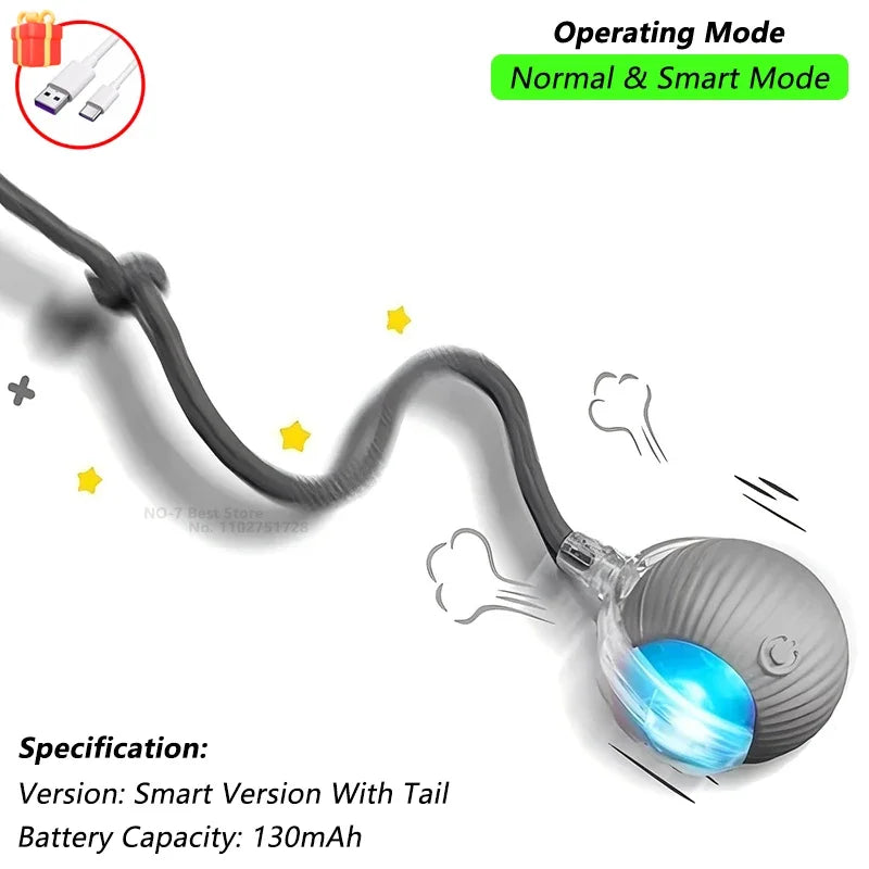 Cat Interactive Ball Toy,