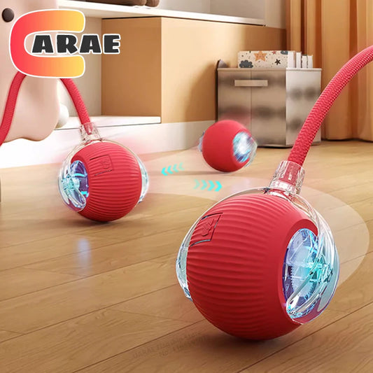 Cat Interactive Ball Toy,