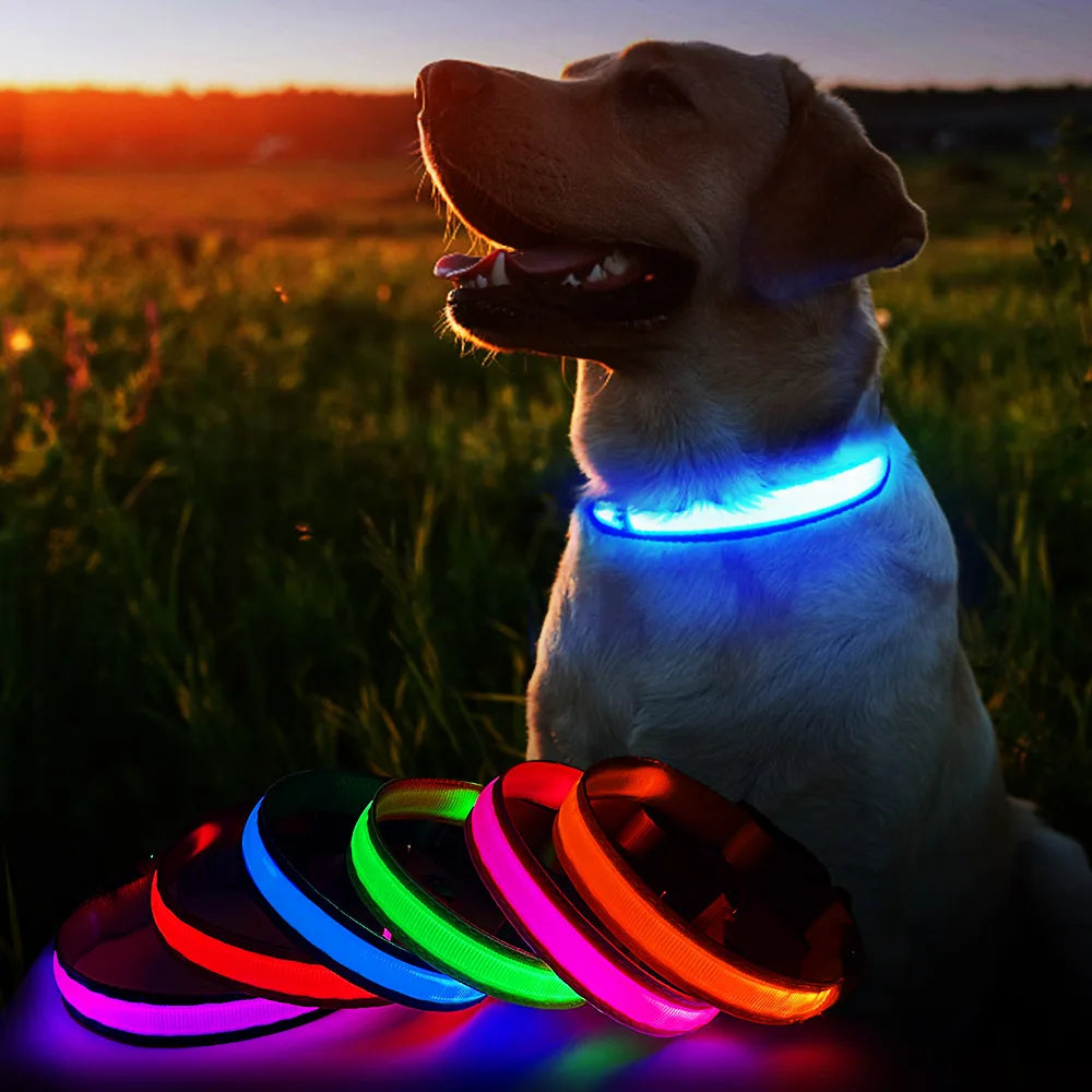 Luminous Dog Collar Waterpoof