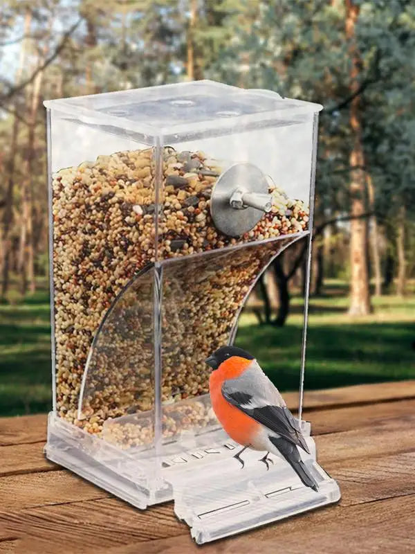 Acrylic Bird Feeders
