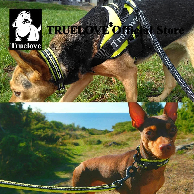Dog Collar