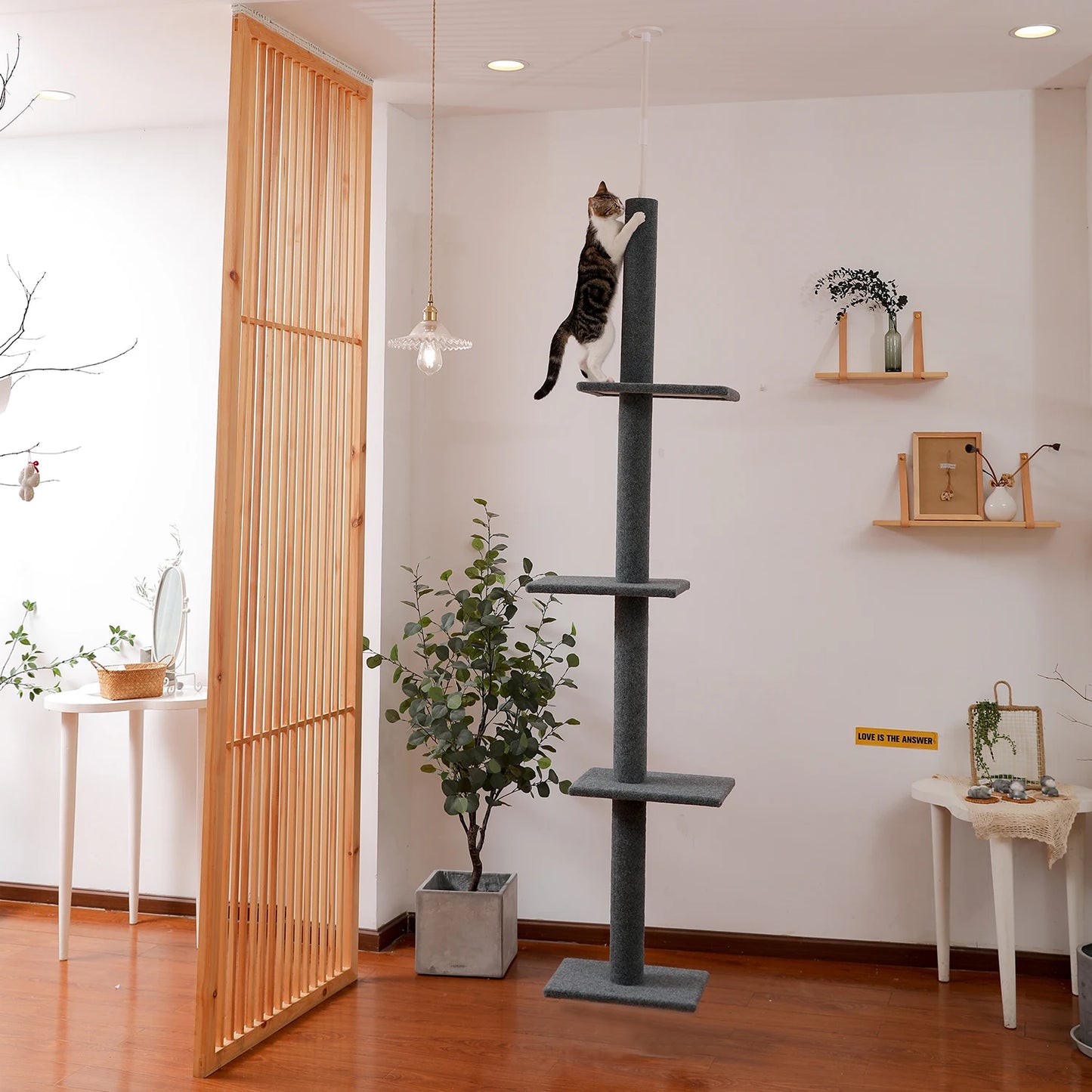 Cat Tree for Indoor
