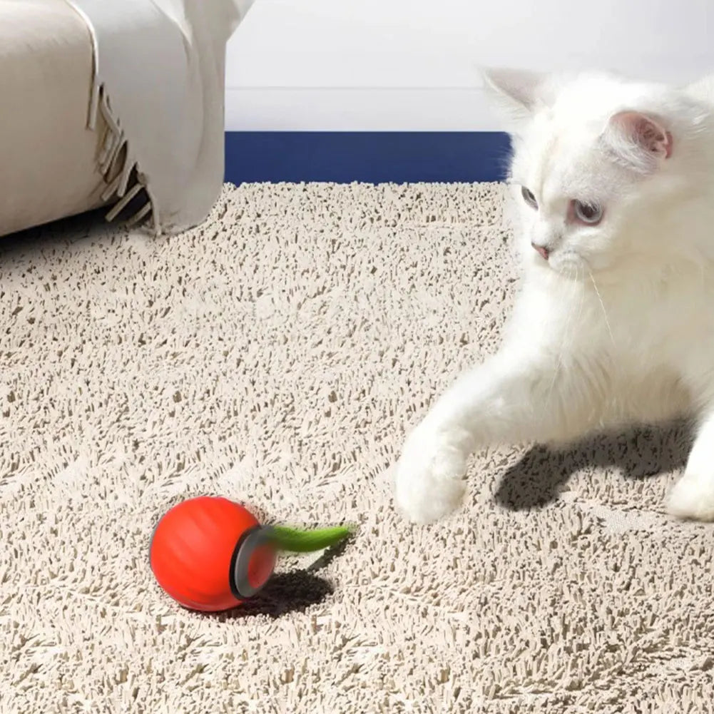 Speedy Tail 2.0 Cat Toys,
