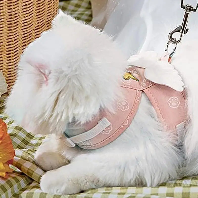 Kitten Harness Leads And Collars Set