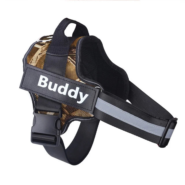 Personalized pet harness