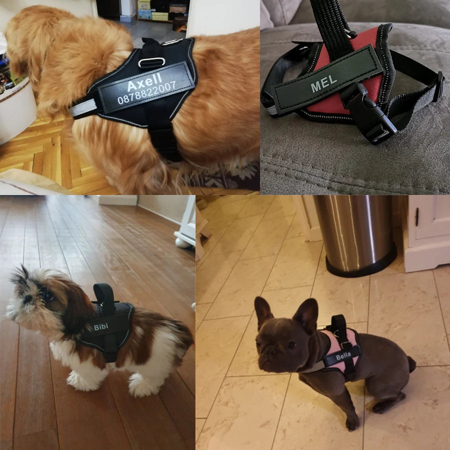 Personalized Pet Harness Collar Label