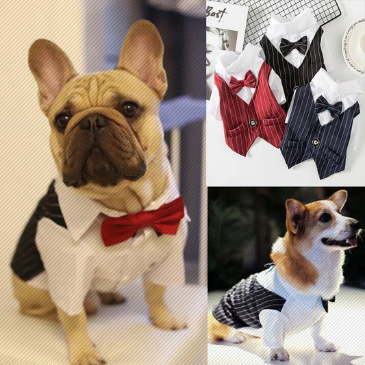 Formal Shirt Dog Clothing