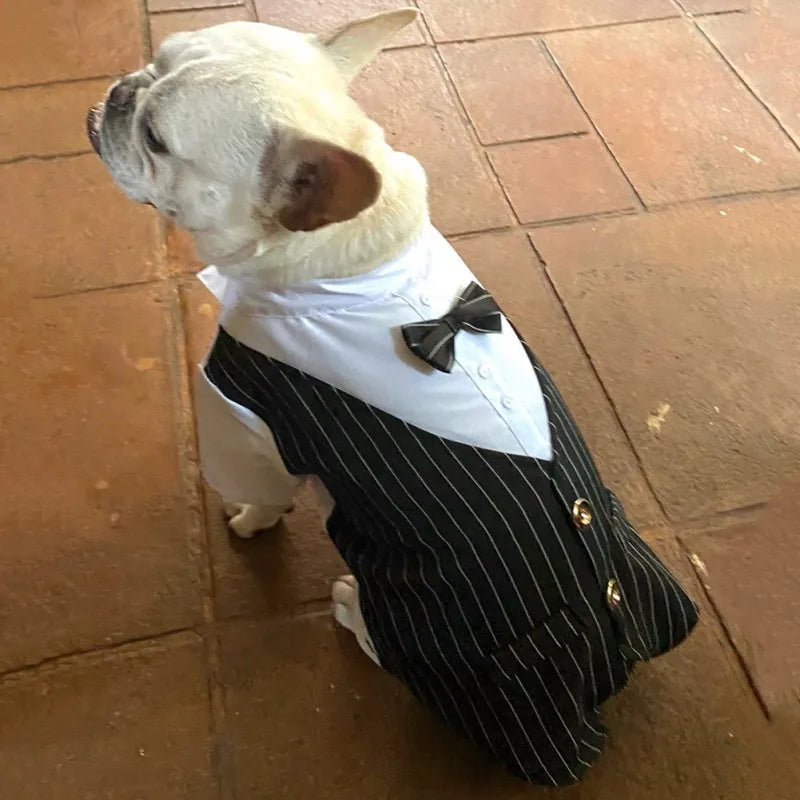 Formal Shirt Dog Clothing
