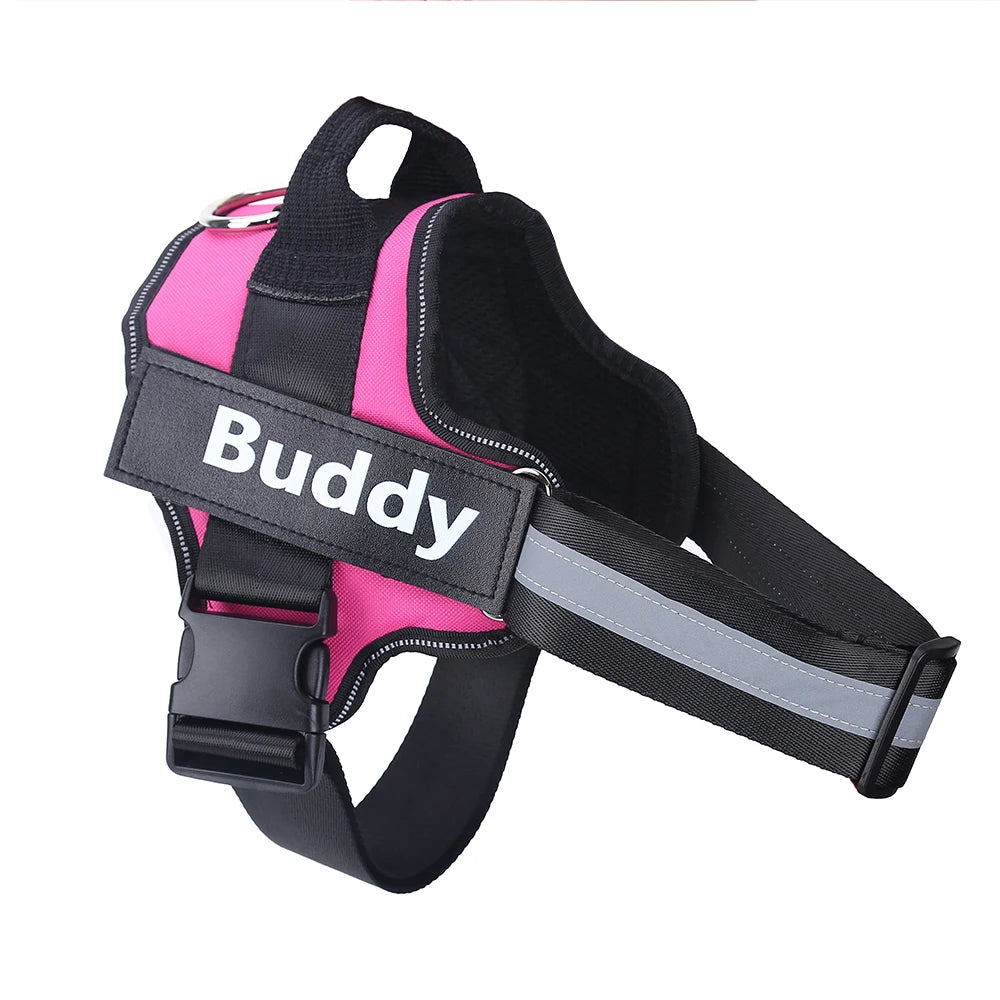 Personalized pet harness