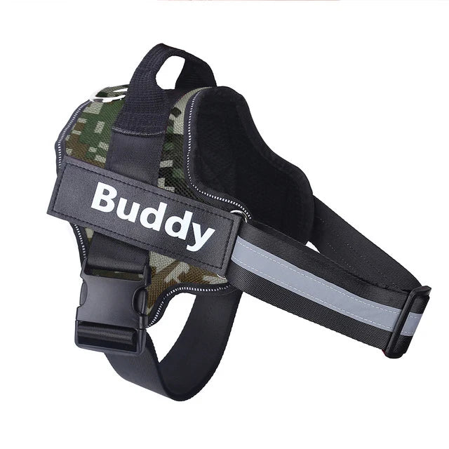 Personalized pet harness