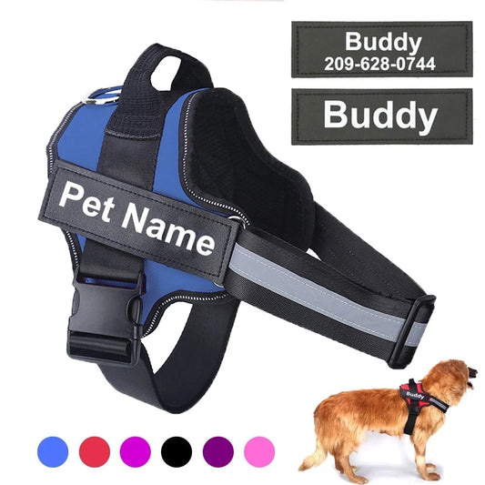Dog Harness