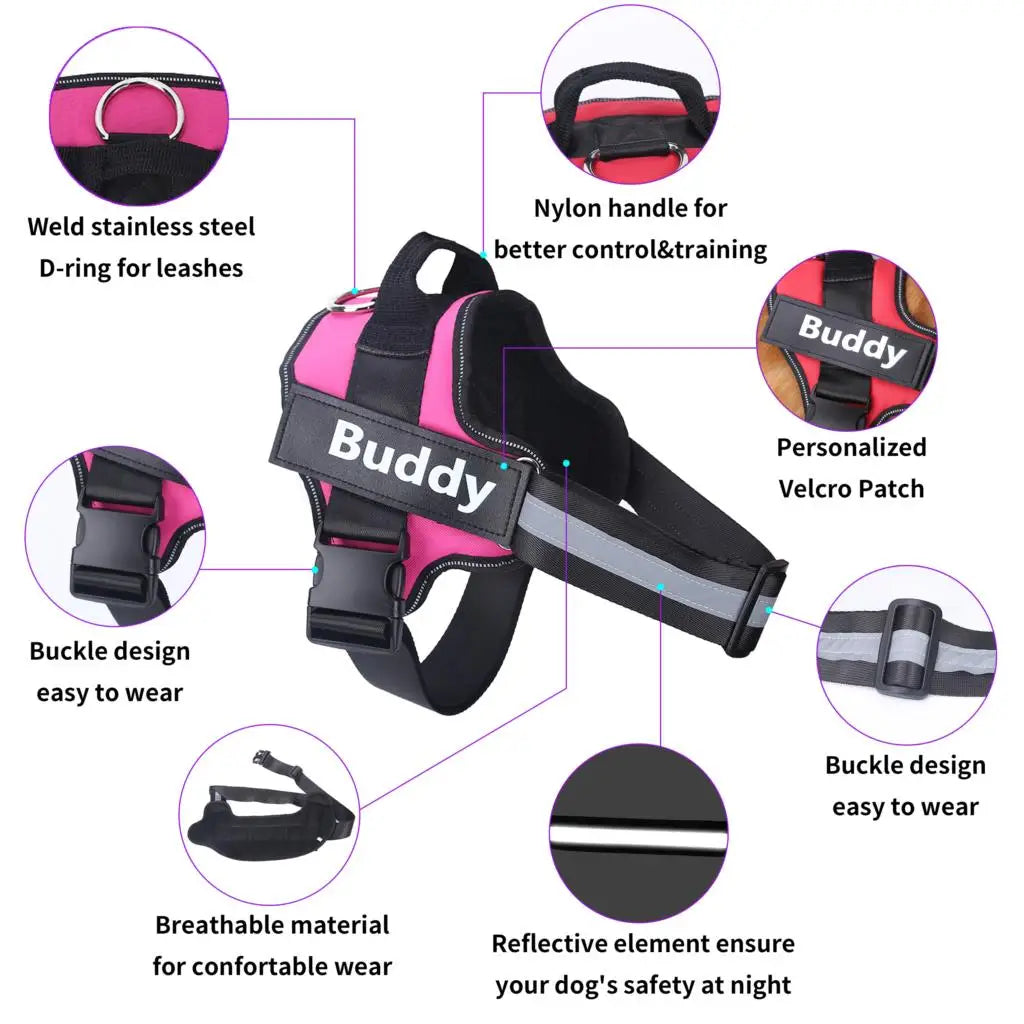 Personalized pet harness