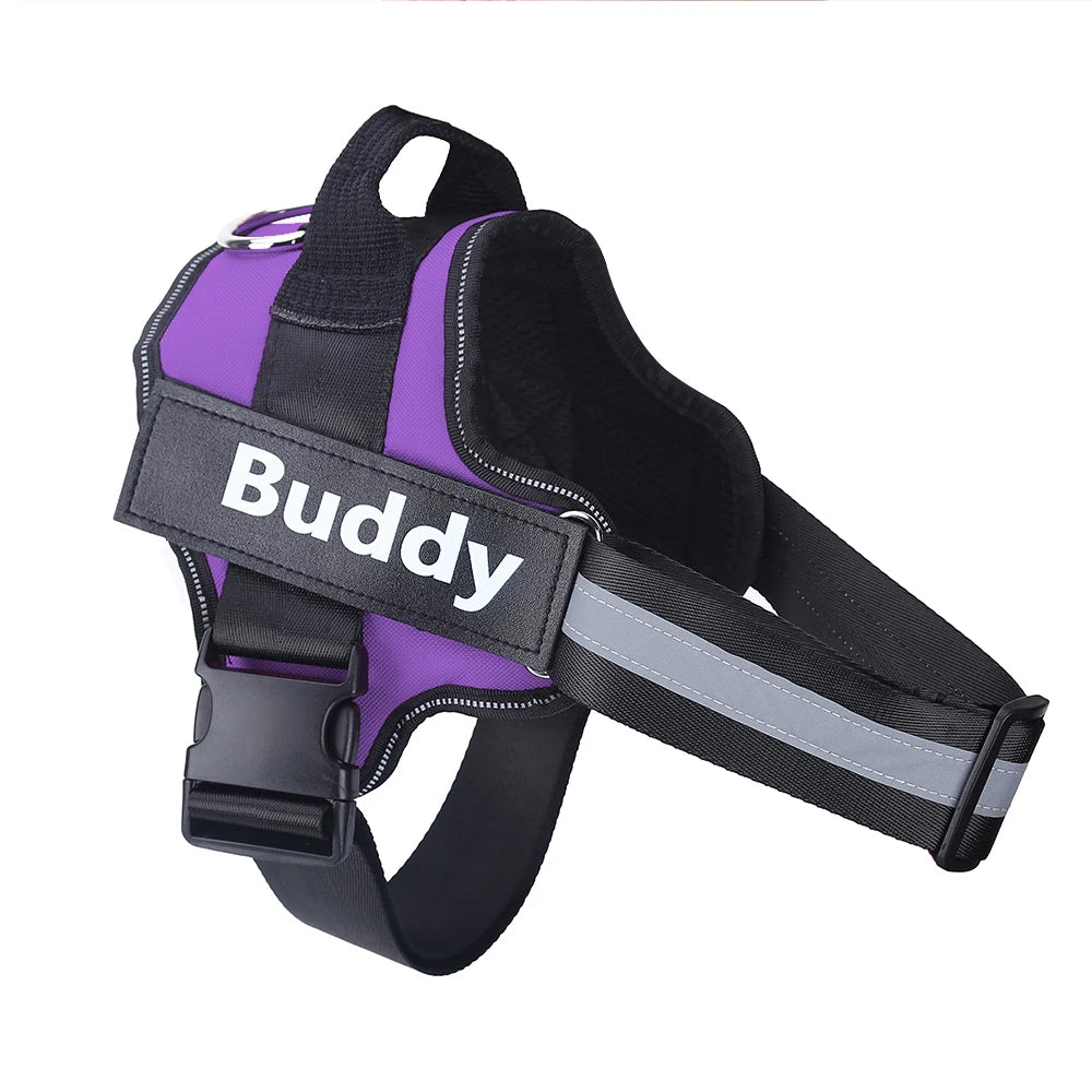 Personalized pet harness