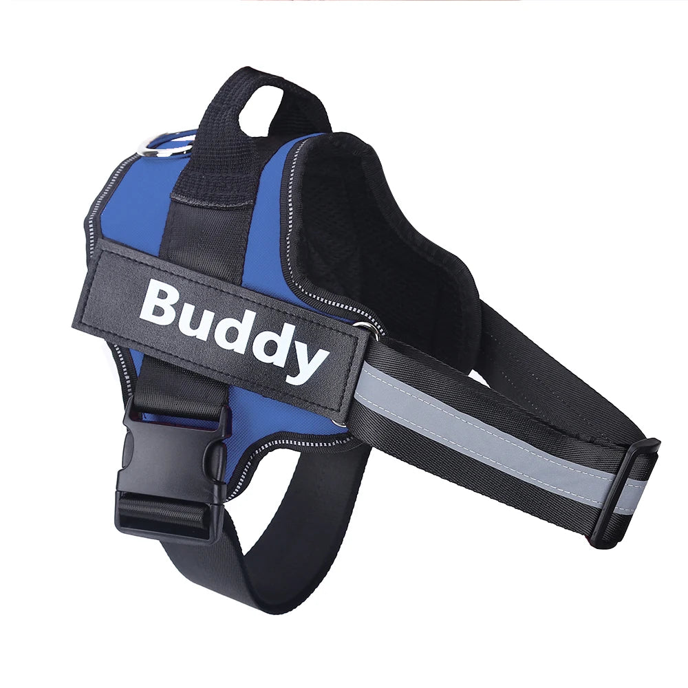 Personalized pet harness
