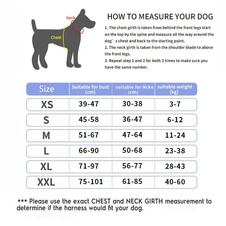 Personalized pet harness