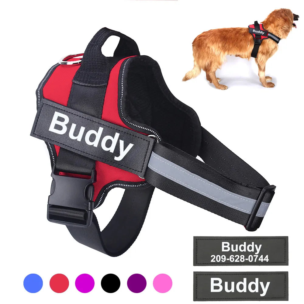Personalized pet harness