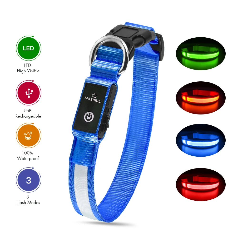 Luminous Dog Collar Waterpoof