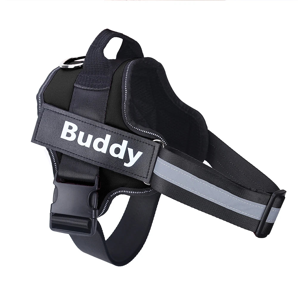 Personalized pet harness