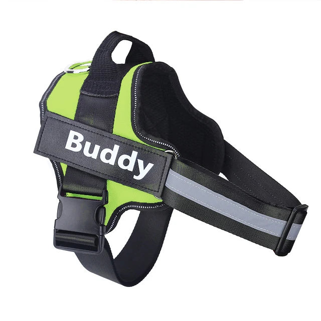 Personalized pet harness