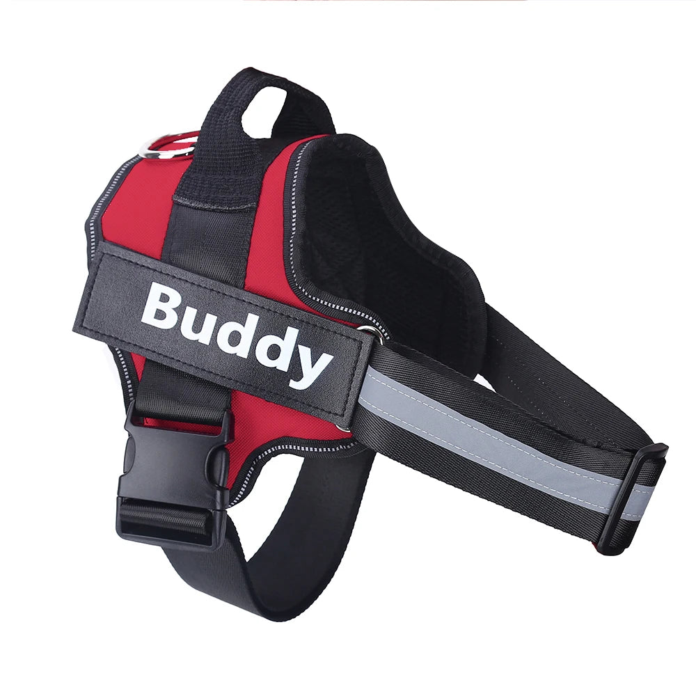 Personalized pet harness