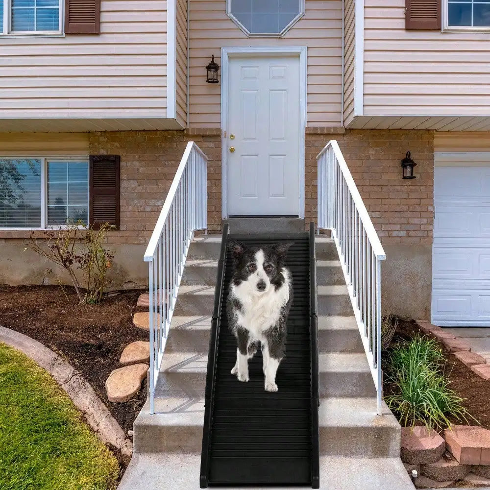 61" Folding Dog Ramp Portable Pet Ramp