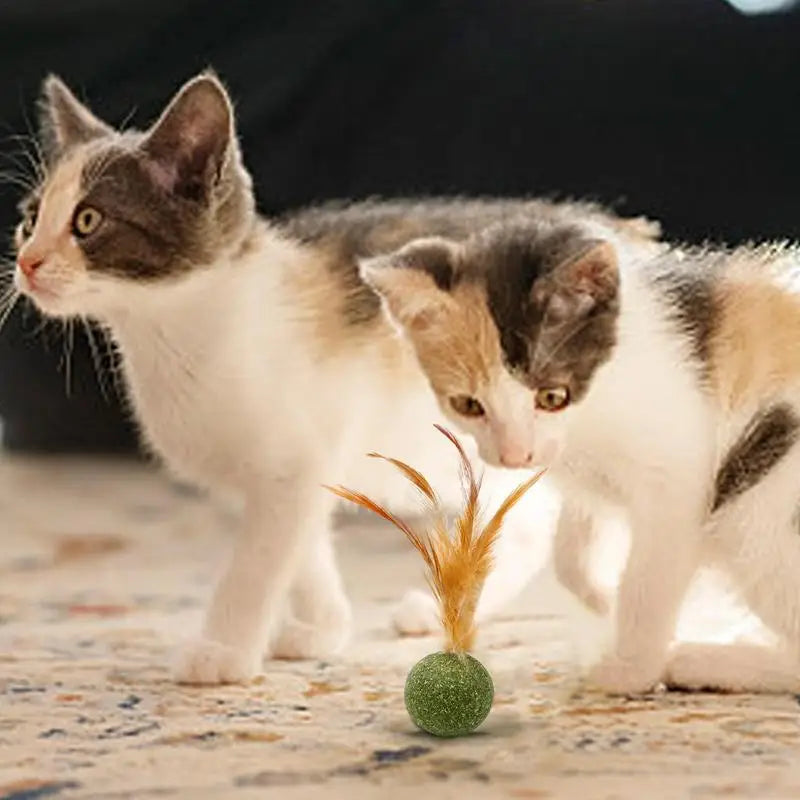Cat Toys Catnip