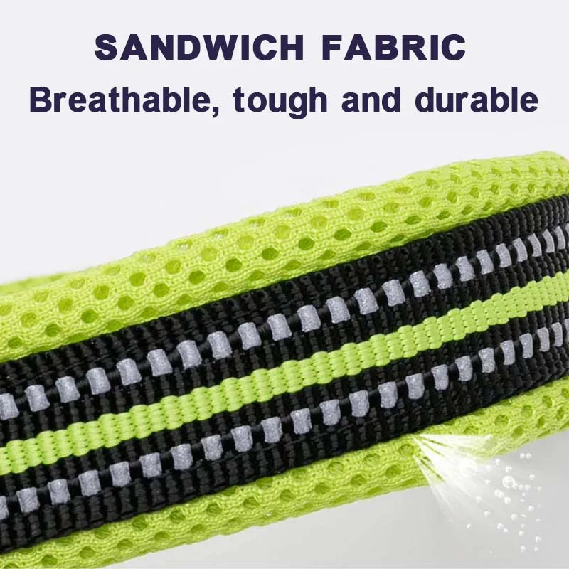 Dog  Collar