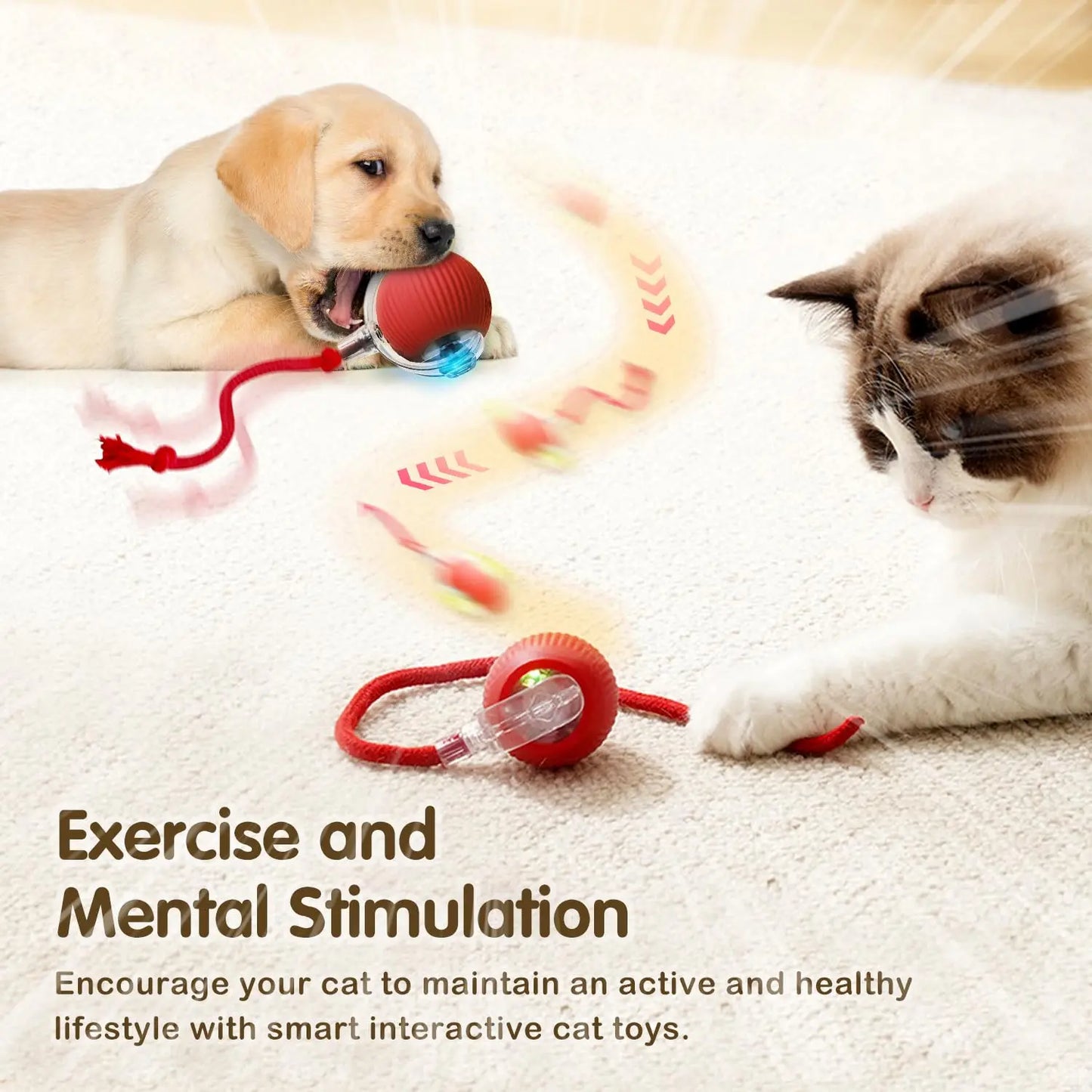 Cat Interactive Ball Toy,