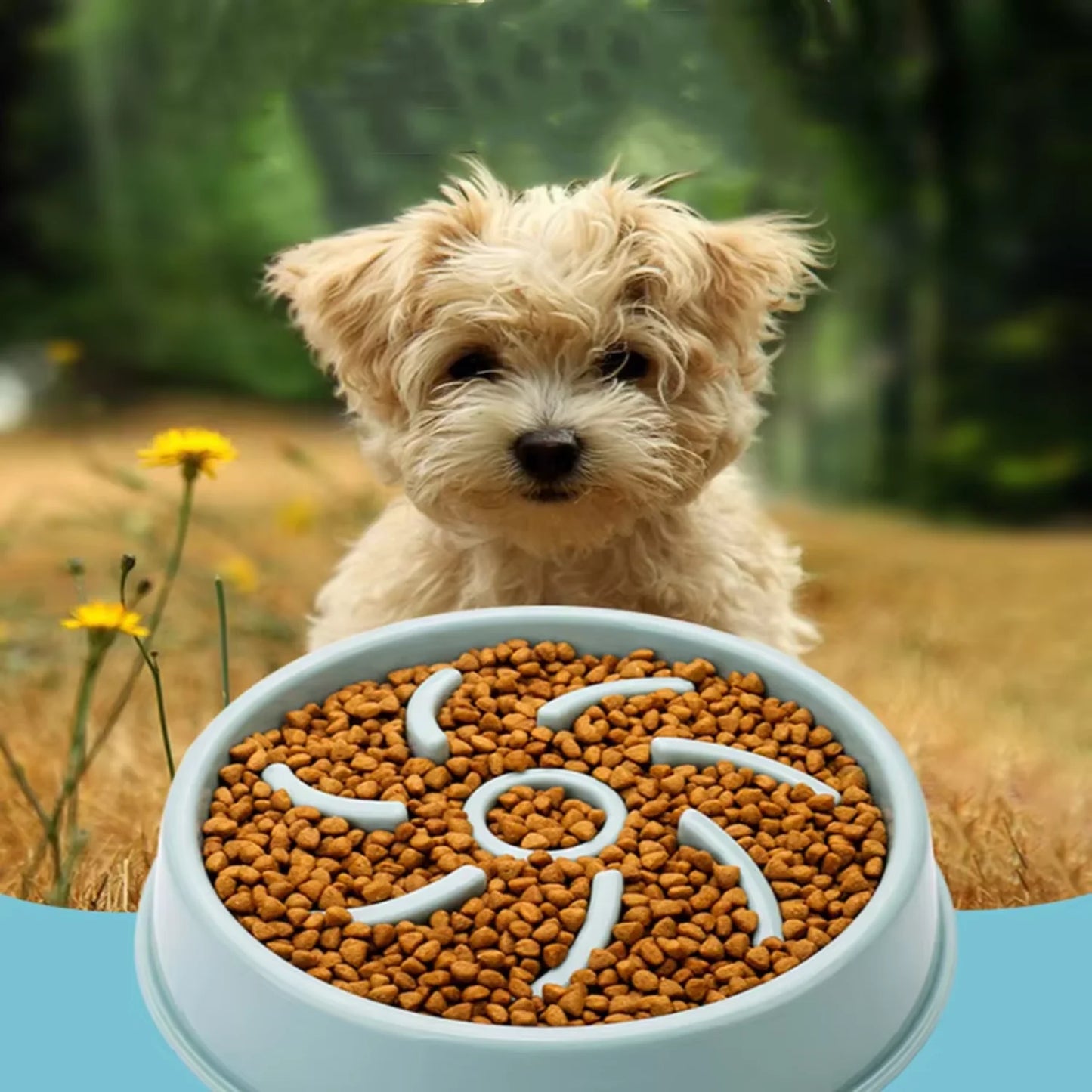 Dog Bowl Animal Feeder