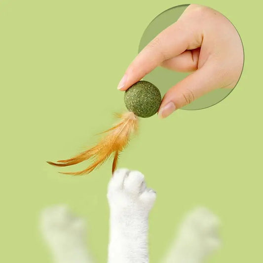 Cat Toys Catnip