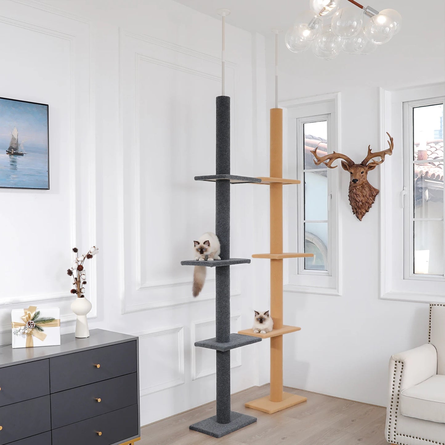Cat Tree for Indoor