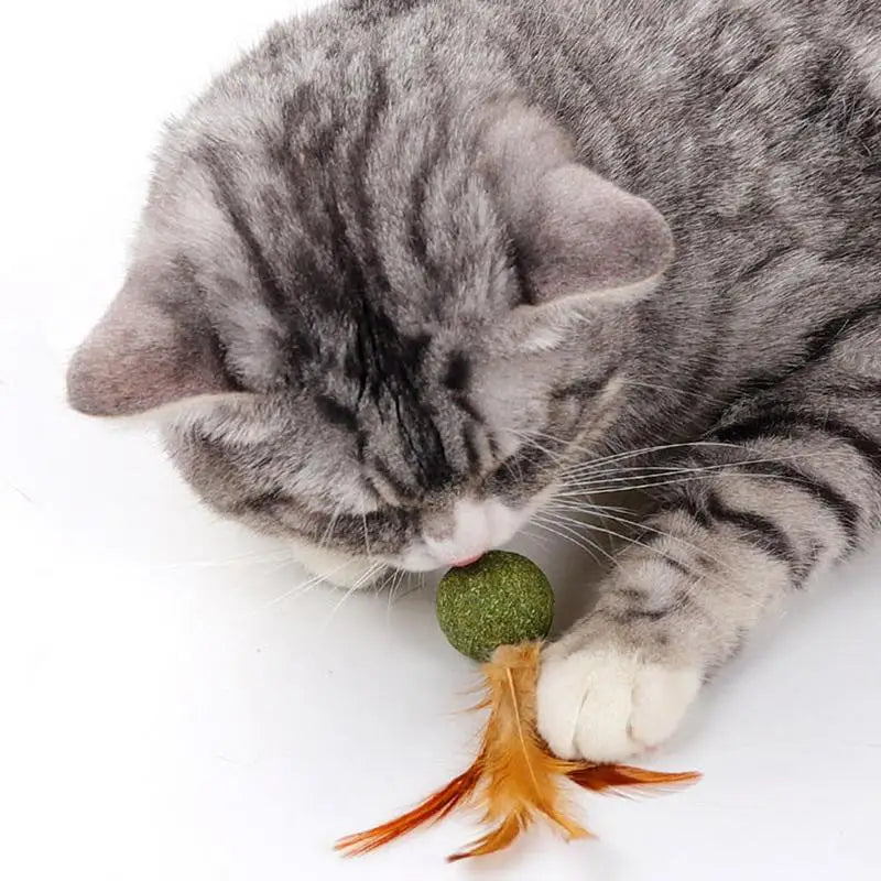 Cat Toys Catnip
