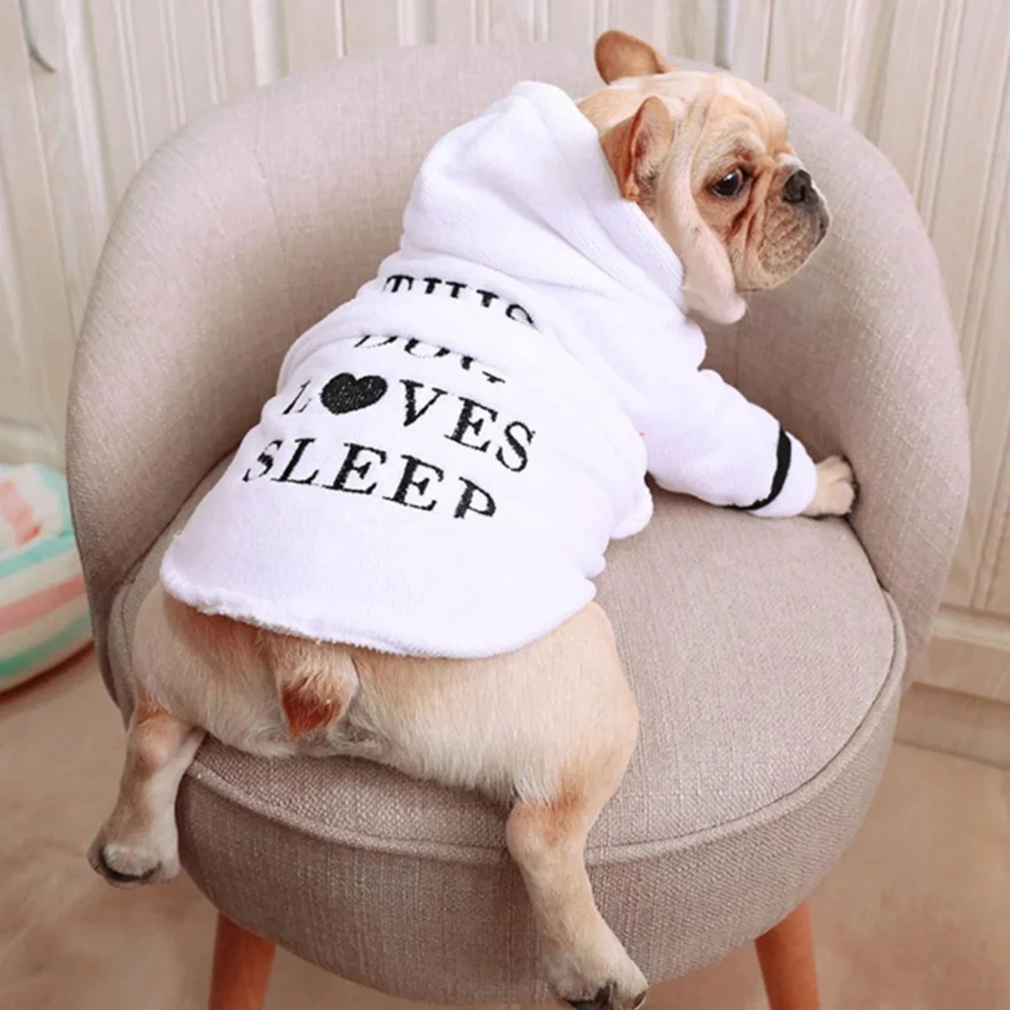 Dog Bathrobe