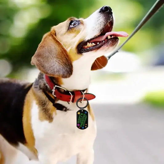 Custom Dog Tags